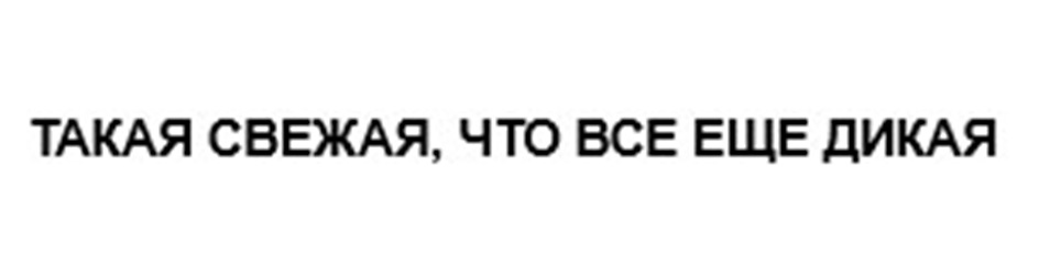 Изображение товарного знака № 1076935