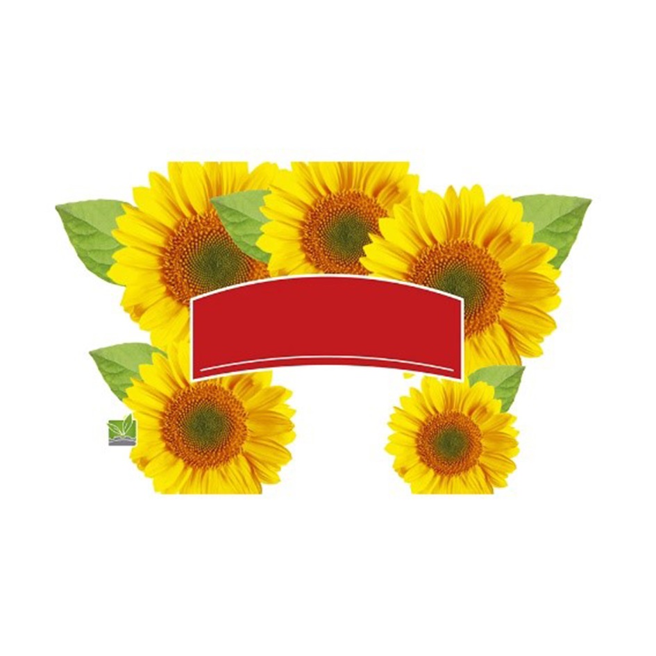 Изображение товарного знака № 1095572