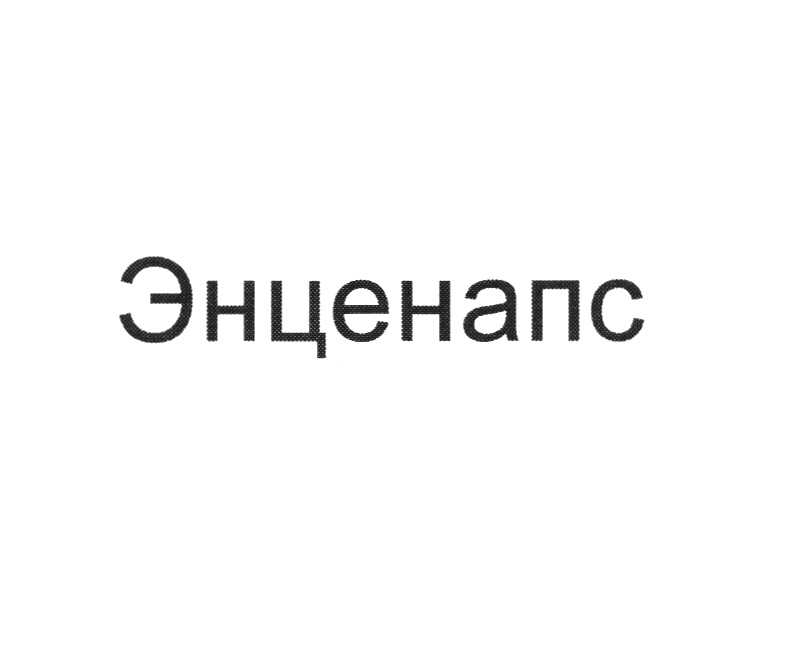 Изображение товарного знака № 1132100