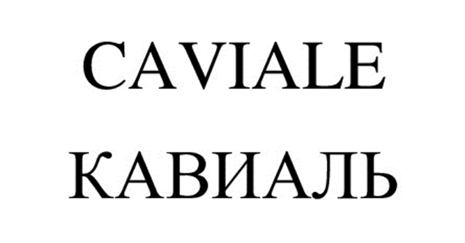 Изображение товарного знака № 1159797