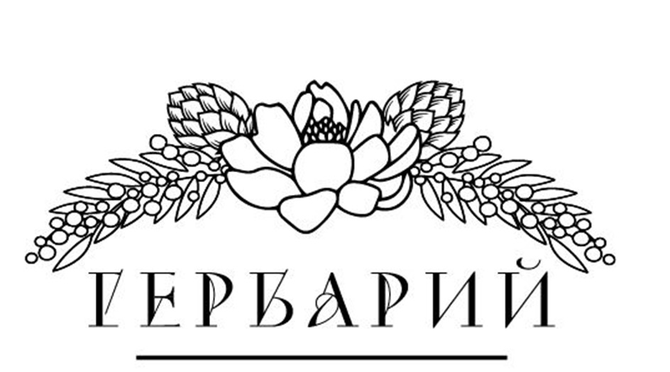 Изображение товарного знака № 1206726