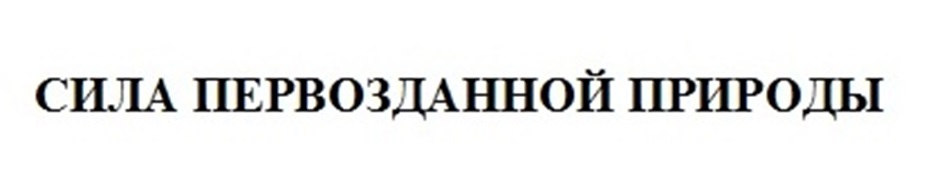 Изображение товарного знака № 1212027