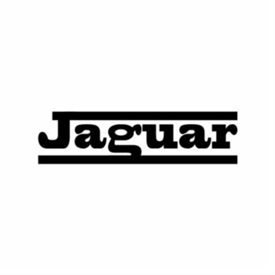 Изображение товарного знака № 1233597