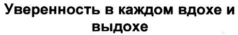 Изображение товарного знака № 292990