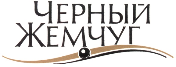 Изображение товарного знака № 304057