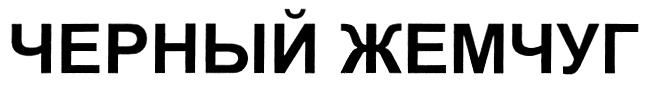 Изображение товарного знака № 304922
