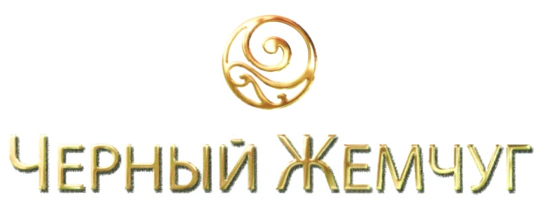 Изображение товарного знака № 532839