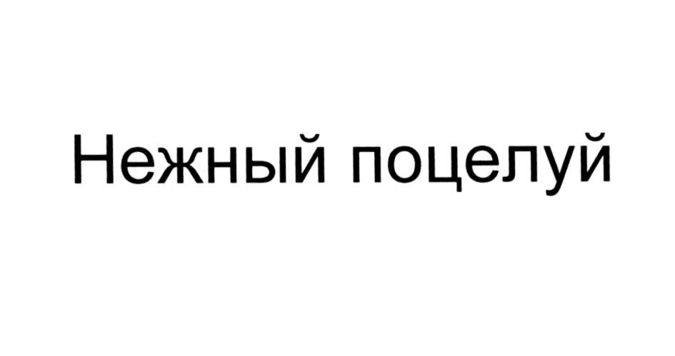 Изображение товарного знака № 560751