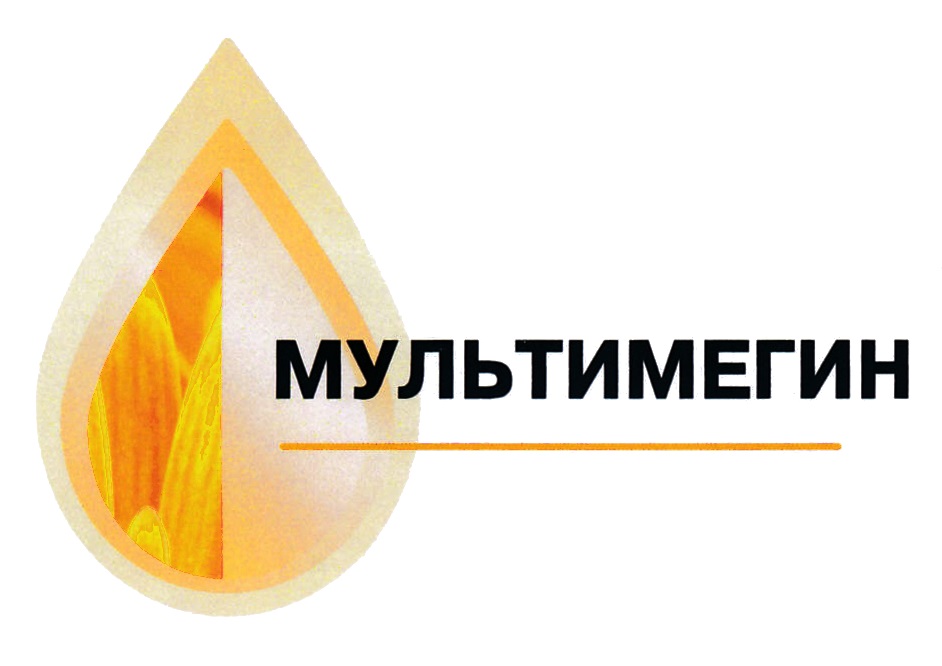 Изображение товарного знака № 696132