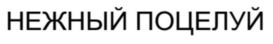 Изображение товарного знака № 699522