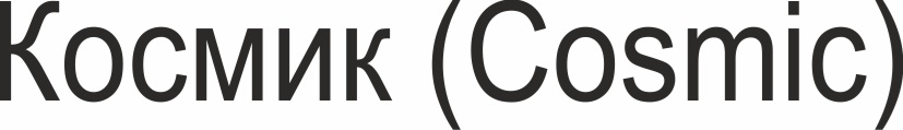 Изображение товарного знака № 700066