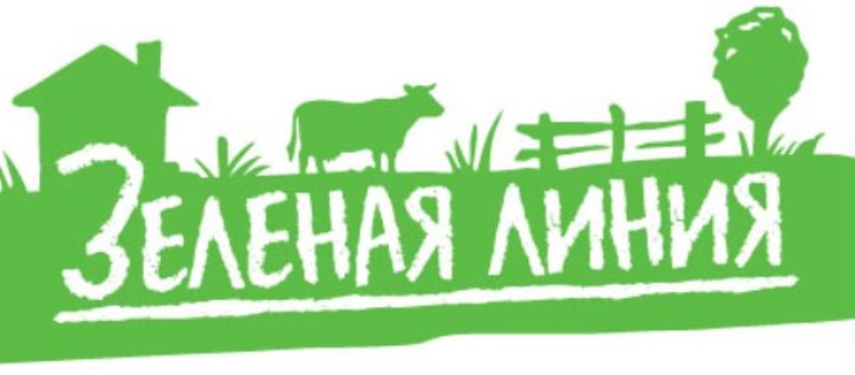 Изображение товарного знака № 725711