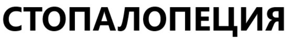 Изображение товарного знака № 809405