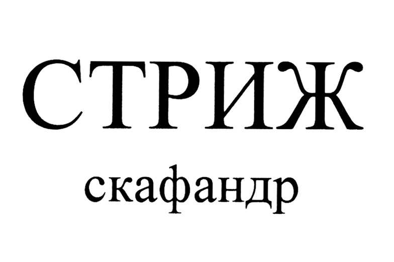 Изображение товарного знака № 851038