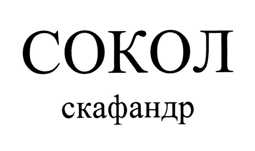 Изображение товарного знака № 862494