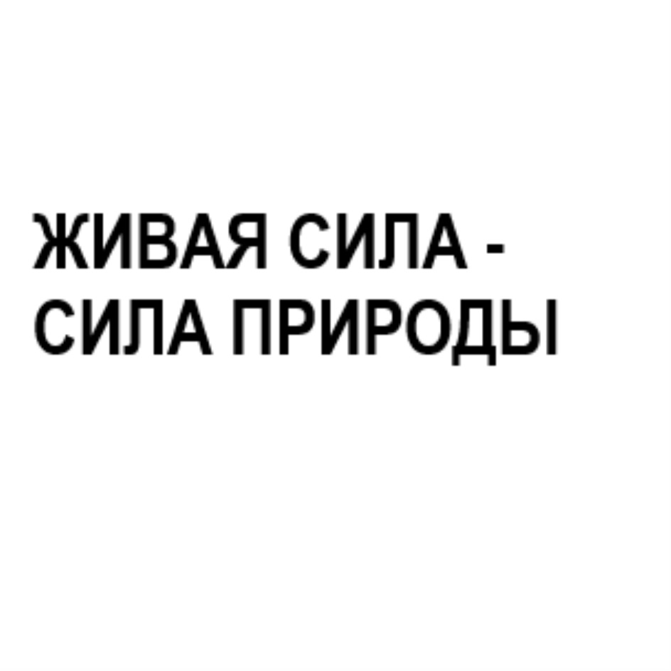 Изображение товарного знака № 873636