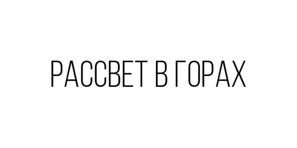 Изображение товарного знака № 893295