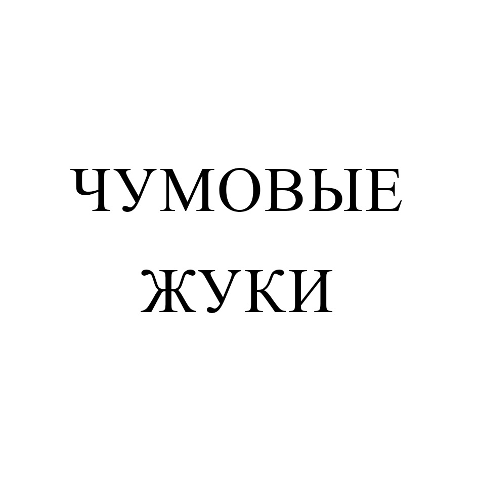 Изображение товарного знака № 916252