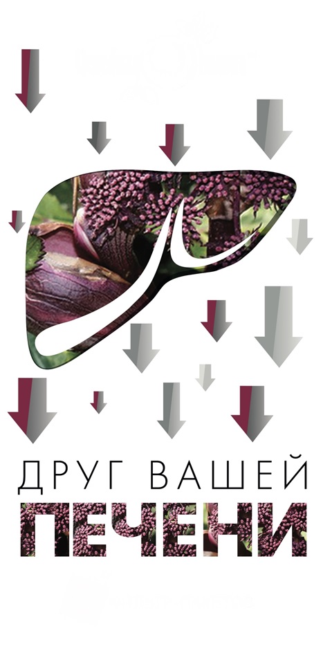 Изображение товарного знака № 931851