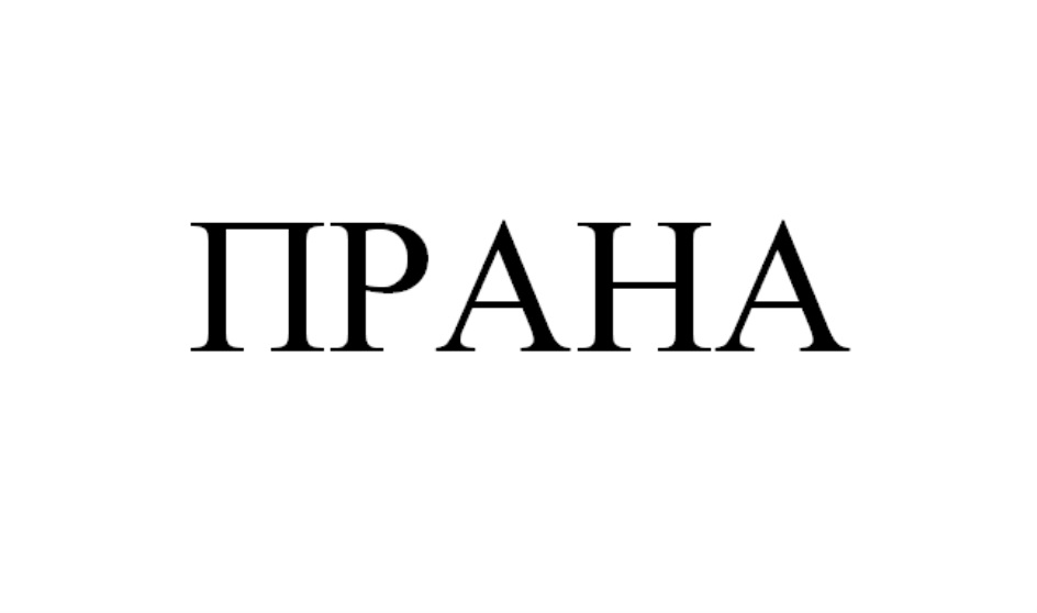 Изображение товарного знака № 935095