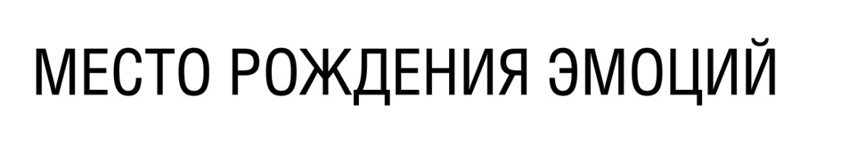 Изображение товарного знака № 940619
