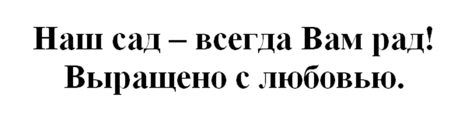 Изображение товарного знака № 965096