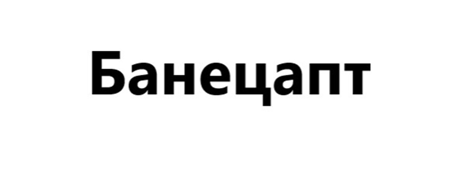 Изображение товарного знака № 999749